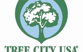 Arbor Day Foundation Names Village of Royal Palm Beach a 2023 Tree City USA