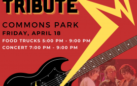 Rolling Stones Tribute Flyer