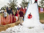 Snow Slide