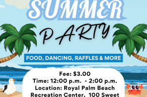 End of Summer Party Flyer